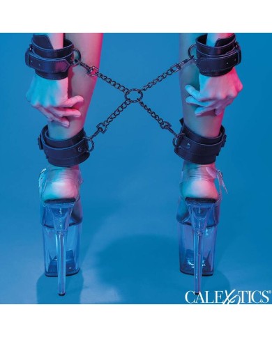 CALEXOTICS - EUPHORIA CRAVATE DE PORC
