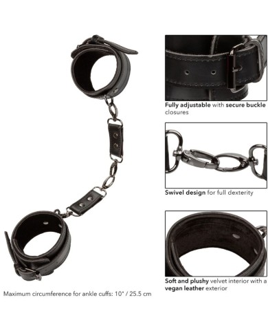 CALEXOTICS - EUPHORIA MANCHETTES DE CHEVILLE