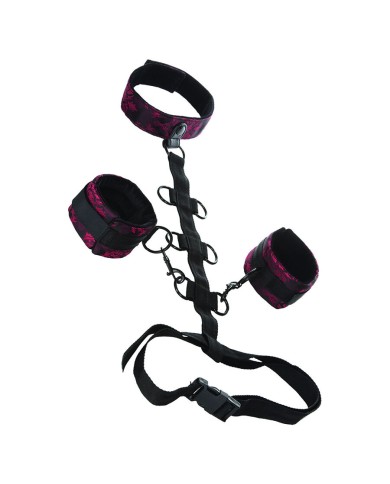 CALEXOTICS - SCANDAL SUPPORT COMPORAL AVEC COU