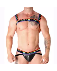 MACHO - HARNAIS DOUBLE PRIDE LIMITED MACHO - HARNAIS DOUBLE PRIDE LIMITED