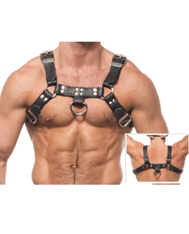 LEATHER BODY - HARNAIS CHAÎNE III