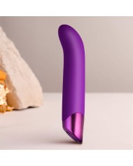 ROCKS-OFF - CHAIAMO G VIBRATEUR POINT G VIOLET