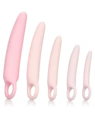 CALEXOTICS - INSPIRE DILATATEUR EN SILICONE ENSEMBLE DE 5 PIÈCES CALEXOTICS - INSPIRE DILATATEUR EN SILICONE ENSEMBLE DE 5 PIÈCES
