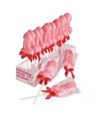 SPENCER & FLEETWOOD - SUCCULENTE SUCETTE WILLIE SPENCER & FLEETWOOD - SUCCULENTE SUCETTE WILLIE