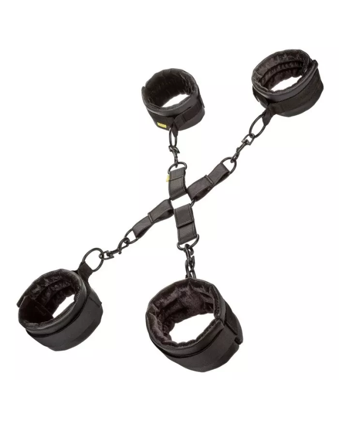 CALEXOTICS - CRAVATE DE PORC SANS LIMITES CALEXOTICS - CRAVATE DE PORC SANS LIMITES