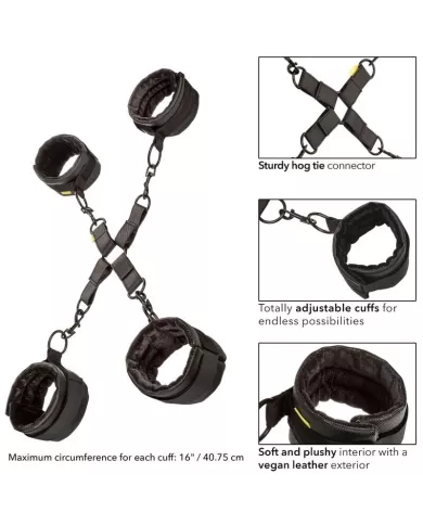 CALEXOTICS - CRAVATE DE PORC SANS LIMITES CALEXOTICS - CRAVATE DE PORC SANS LIMITES