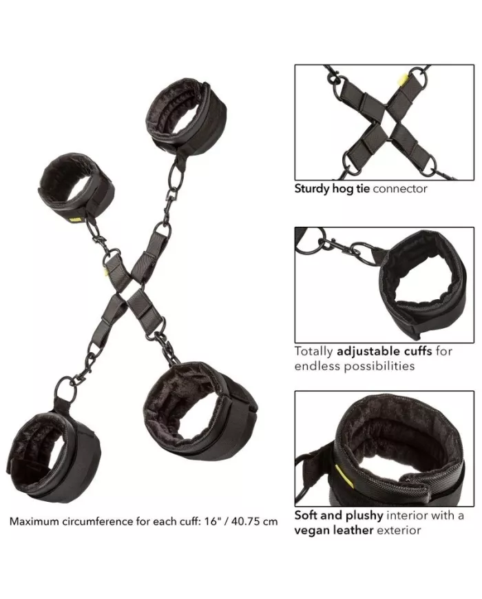 CALEXOTICS - CRAVATE DE PORC SANS LIMITES CALEXOTICS - CRAVATE DE PORC SANS LIMITES