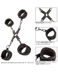 CALEXOTICS - CRAVATE DE PORC SANS LIMITES CALEXOTICS - CRAVATE DE PORC SANS LIMITES