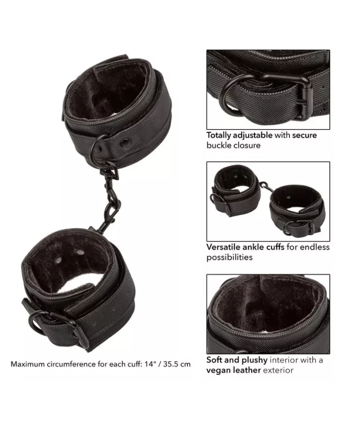 CALEXOTICS - CHEVILLES SANS LIMITES CALEXOTICS - CHEVILLES SANS LIMITES