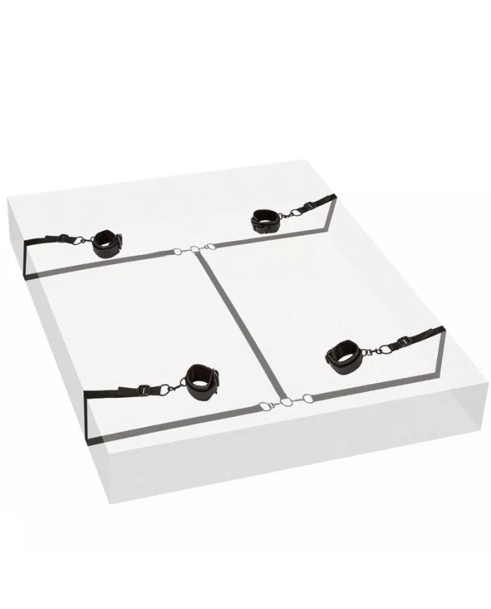 CALEXOTICS - RETENUE ROUGE SANS LIMITES CALEXOTICS - RETENUE ROUGE SANS LIMITES