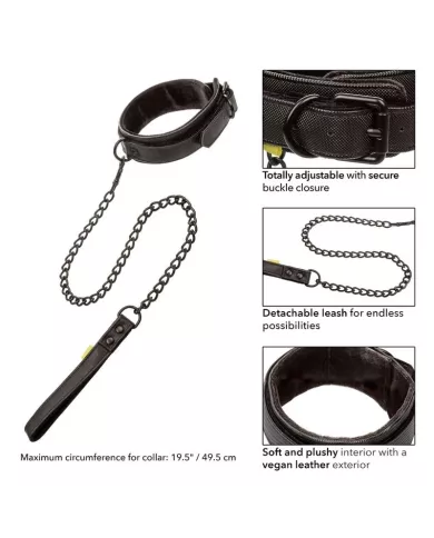 CALEXOTICS - COLLIER ET LAISSE SANS LIMITES