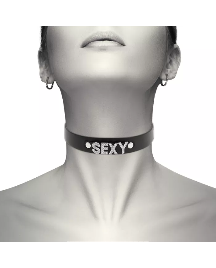 COQUETTE CHIC DESIRE - RAS DE COU SEXY EN CUIR VÉGAN