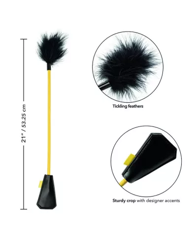 CALEXOTICS - BOUNDLESS RÉCOLTE DE PLUMES