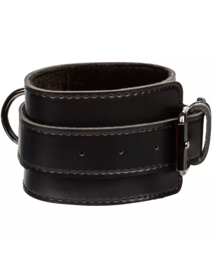 CALEXOTICS - EUPHORIA CRAVATE DE PORC CALEXOTICS - EUPHORIA CRAVATE DE PORC