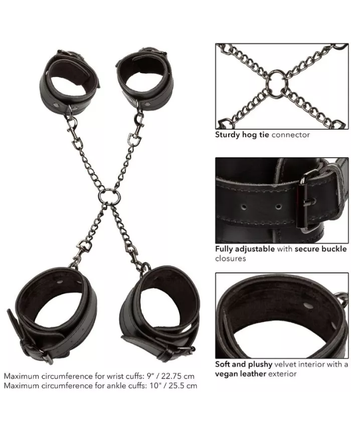 CALEXOTICS - EUPHORIA CRAVATE DE PORC CALEXOTICS - EUPHORIA CRAVATE DE PORC