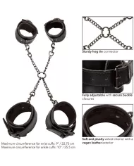 CALEXOTICS - EUPHORIA CRAVATE DE PORC CALEXOTICS - EUPHORIA CRAVATE DE PORC