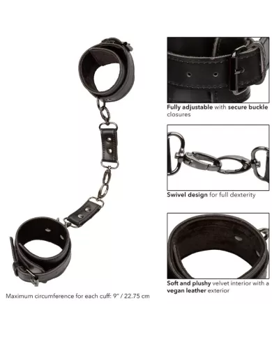 CALEXOTICS - EUPHORIA MENOTTES