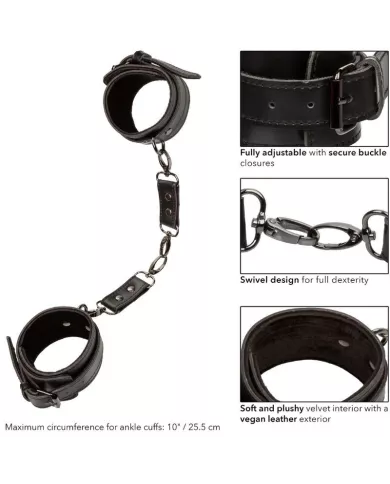 CALEXOTICS - EUPHORIA MANCHETTES DE CHEVILLE