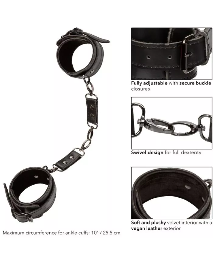 CALEXOTICS - EUPHORIA MANCHETTES DE CHEVILLE