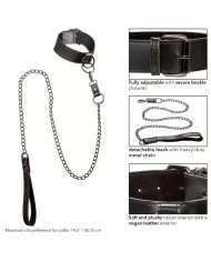 CALEXOTICS - EUPHORIA COLLIER AVEC LAISSE CHAÎNE CALEXOTICS - EUPHORIA COLLIER AVEC LAISSE CHAÎNE