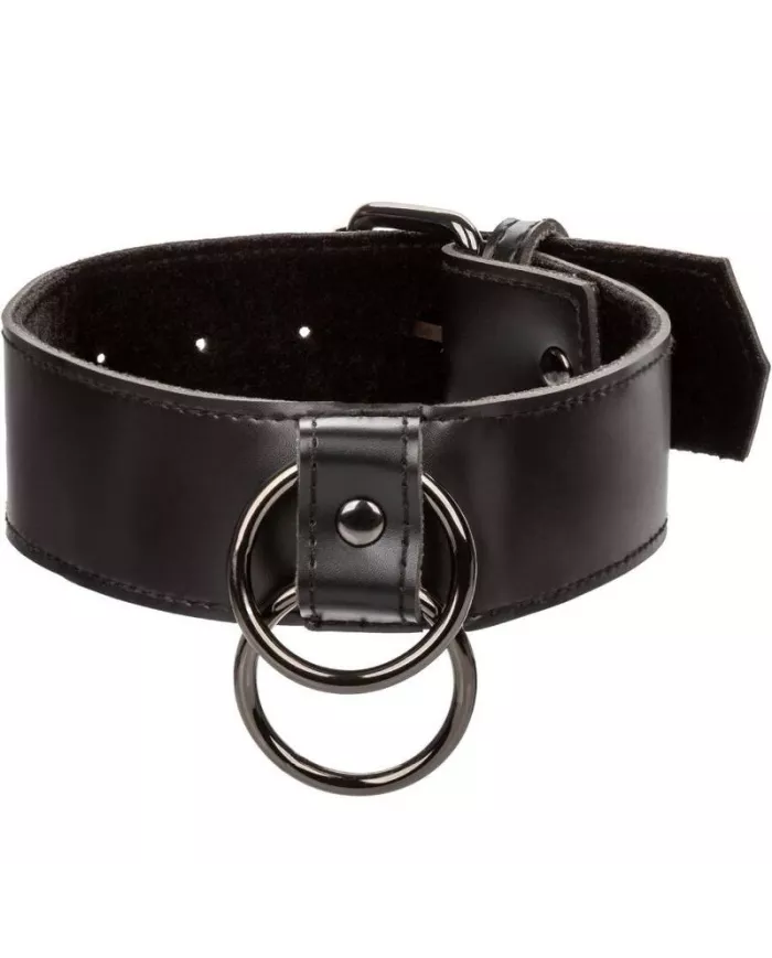 CALEXOTICS - EUPHORIA COLLIER AVEC LAISSE CHAÎNE CALEXOTICS - EUPHORIA COLLIER AVEC LAISSE CHAÎNE