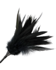 DARKNESS - FOUET À PLUMES NOIRES