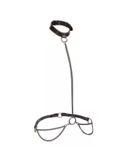 CALEXOTICS - EUPHORIA COLLIER ET LAISSE CHAINE