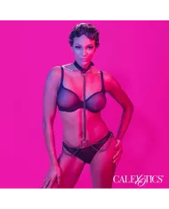 CALEXOTICS - EUPHORIA COLLIER ET LAISSE CHAINE