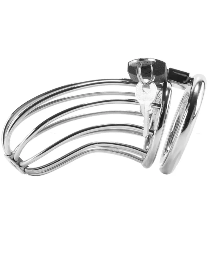 METAL HARD - CAGE DANNEAU DE CHASTETÉ DOISEAU METAL HARD - CAGE DANNEAU DE CHASTETÉ DOISEAU