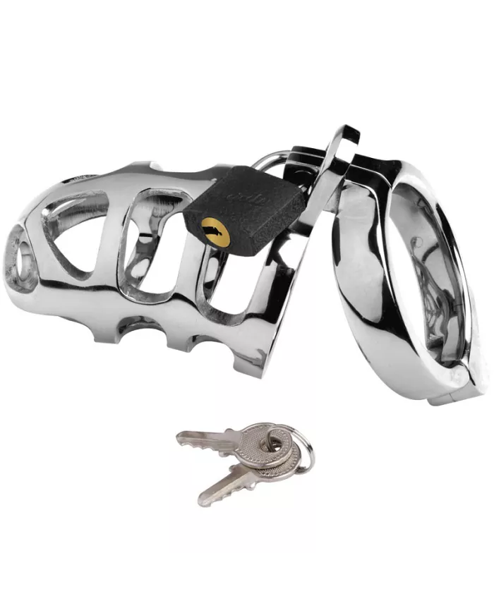 METAL HARD - CAGE ANNEAU CAGE EN MÉTAL METAL HARD - CAGE ANNEAU CAGE EN MÉTAL