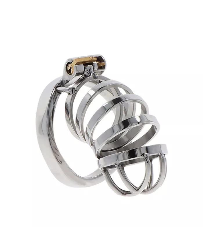 HIDDEN DESIRE - EXTREME CAGE DE CHASTETÉ EN MÉTAL