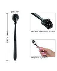 CALEXOTICS - BOUNDLESS ROUE DE PLAISANCE TRIO CALEXOTICS - BOUNDLESS ROUE DE PLAISANCE TRIO