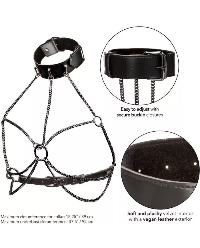 CALEXOTICS - EUPHORIA HARNAIS COLLIER MULTI CHAÎNES