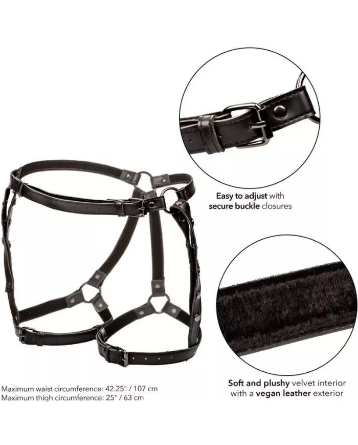 CALEXOTICS - EUPHORIA HARNAIS DE CUISSE DÉQUITATION CALEXOTICS - EUPHORIA HARNAIS DE CUISSE DÉQUITATION