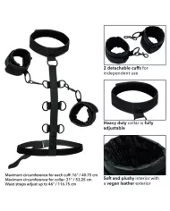 CALEXOTICS - BOUNDLESS COLLIER DE RETENUE CALEXOTICS - BOUNDLESS COLLIER DE RETENUE