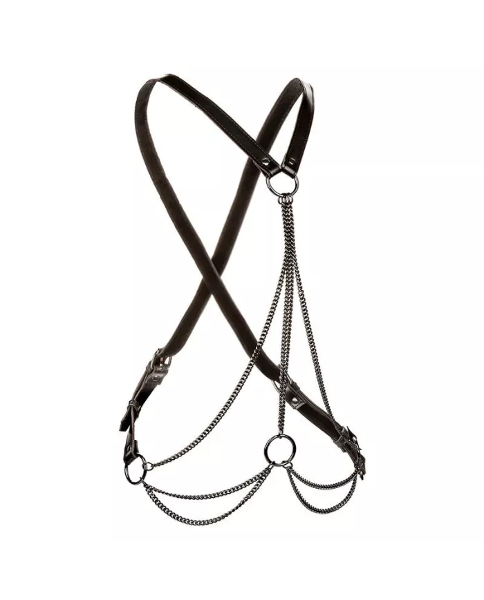 CALEXOTICS - EUPHORIA HARNAIS MULTICHAÎNE PREMIUM GRANDE TAILLE CALEXOTICS - EUPHORIA HARNAIS MULTICHAÎNE PREMIUM GRANDE TAILLE