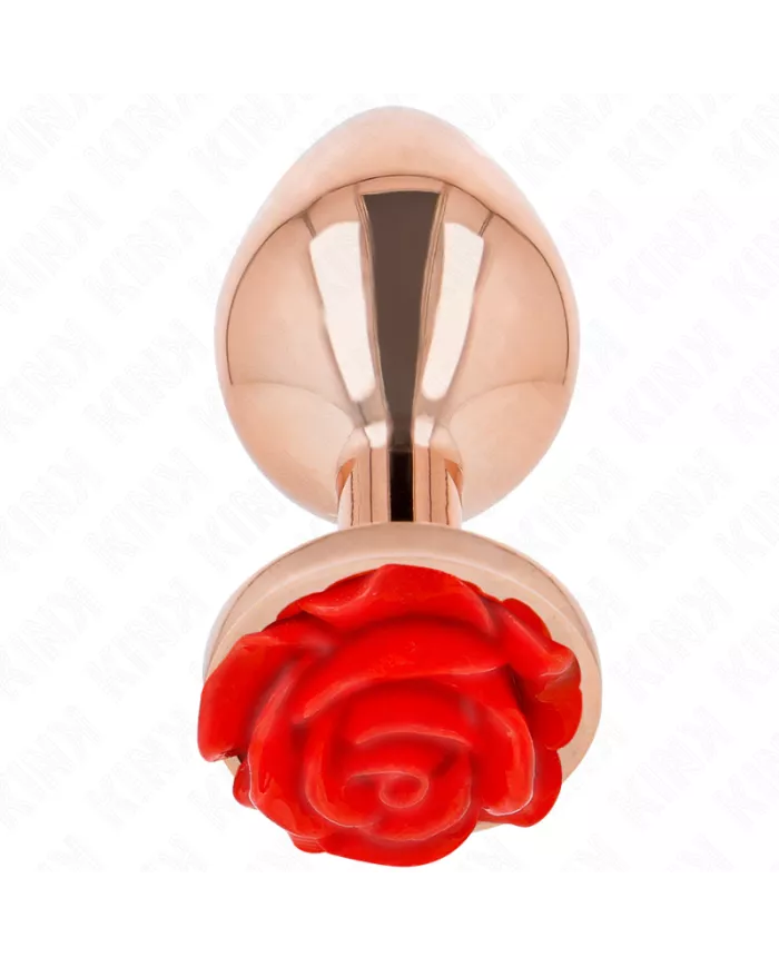 KINK - PLUG ANAL OR ROSE AVEC ROSE ROUGE L