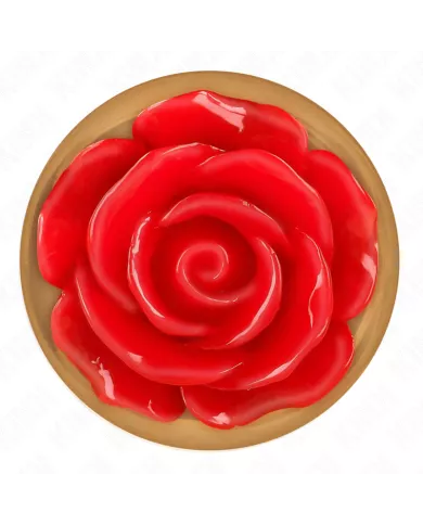 KINK - PLUG ANAL OR ROSE AVEC ROSE ROUGE L KINK - PLUG ANAL OR ROSE AVEC ROSE ROUGE L