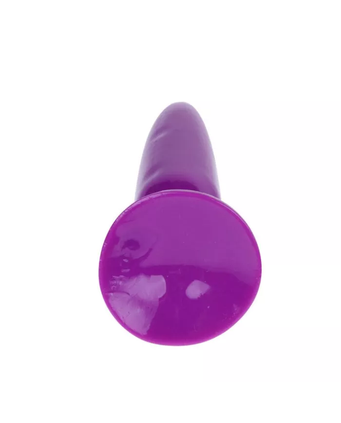 BAILE - PETIT PLUG ANAL LILAS 15 CM BAILE - PETIT PLUG ANAL LILAS 15 CM