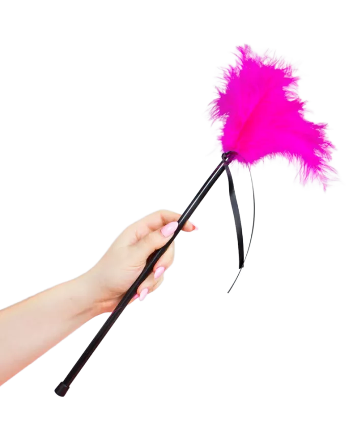 SECRETPLAY - PLUMES ROSE 40 CM SECRETPLAY - PLUMES ROSE 40 CM