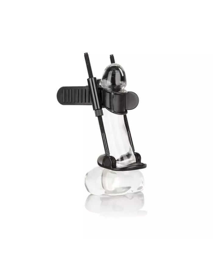 CALEXOTICS - EXTENSION DE PÉNIS CALEXOTICS - EXTENSION DE PÉNIS