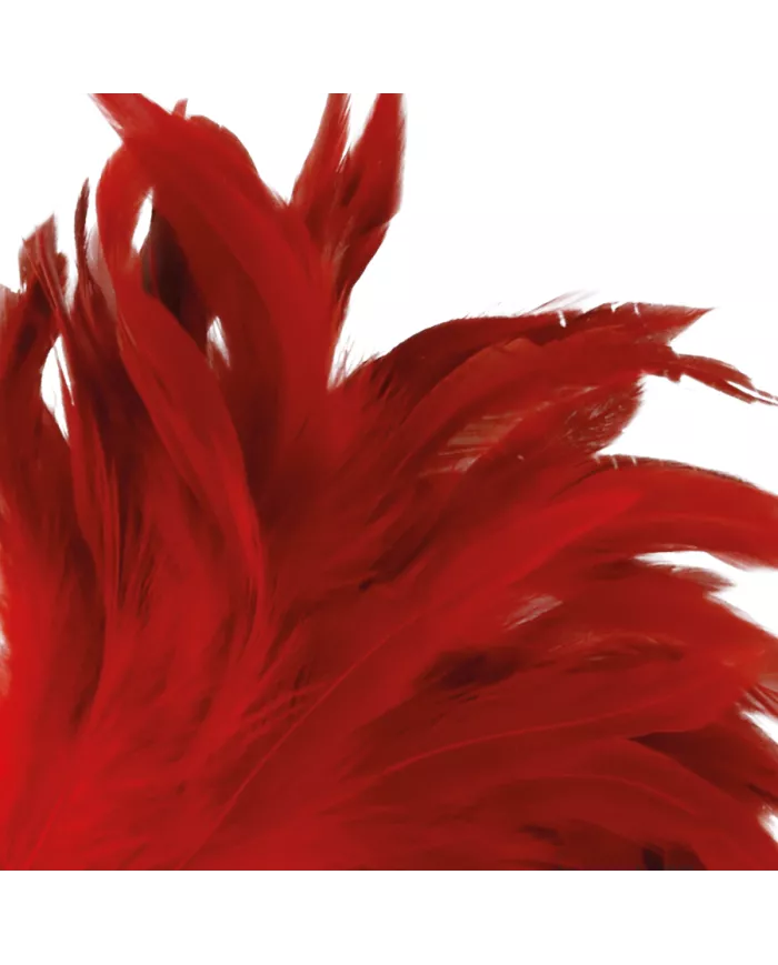 DARKNESS - STYLO STIMULANT ROUGE 24CM