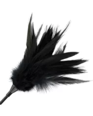 DARKNESS - FOUET À PLUMES NOIRES