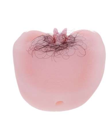 BAILE - CHATTE VIBRATON ANTHEA MAGIC FLESH