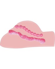 ACT - FAT ASS FUCKER MASTURBATOR AVEC VIBRATOR