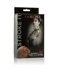 CALEXOTICS - LA COUPÉ LE SOURCILS DE LA CHATTE
