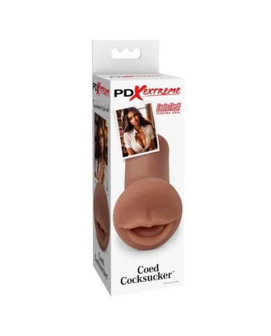 PDX EXTREME - MASTURBATEUR COED COCKSUCKER