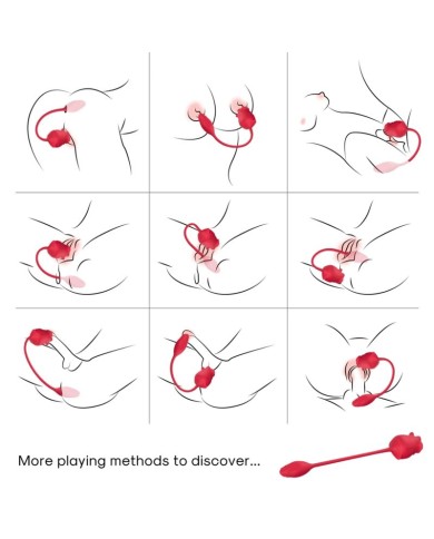 ARMONY - STIMULATEUR D'ASPIRATION ET VIBRATEUR ROSE 2 EN 1 10 MODES AVEC QUEUE ROUGE