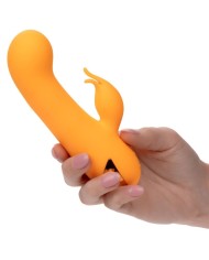 CALEXOTICS - MONTECITO MUSE VIBRATEUR LAPIN ORANGE PAR CALIFORNIA DREAMING