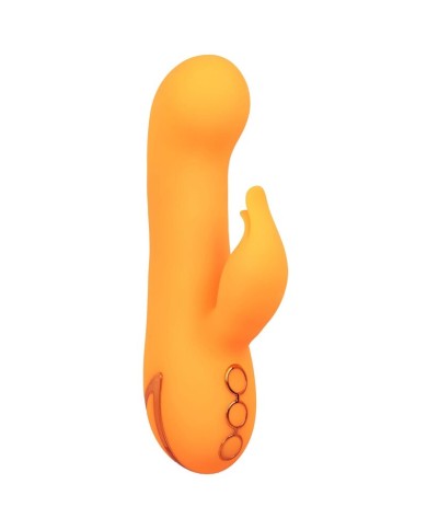 CALEXOTICS - MONTECITO MUSE VIBRATEUR LAPIN ORANGE PAR CALIFORNIA DREAMING